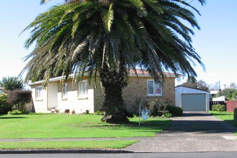 Photo of property in 20 Grey Street, Putaruru, 3411