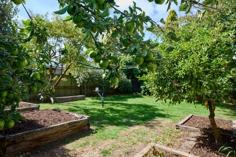 Photo of property in 115 Saint Martins Road, Saint Martins, Christchurch, 8022