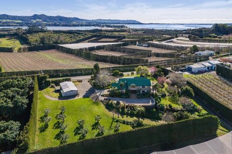 Photo of property in 168 Ongare Point Road, Tahawai, Katikati, 3170