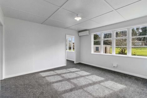 Photo of property in 131 Anderson Street, Morrinsville, 3300