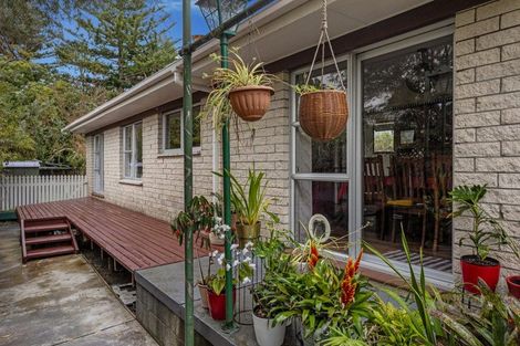 Photo of property in 33 Riverside Drive, Whakatane, 3120
