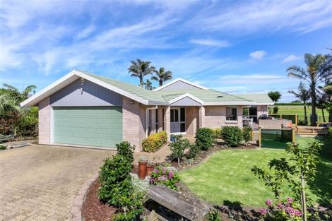 Photo of property in 9 Jackson Place, Pukekohe, 2120