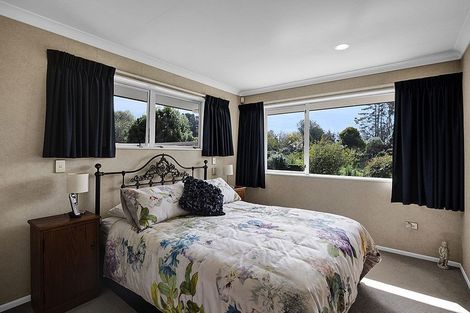 Photo of property in 156 Pembroke Road, Pembroke, Stratford, 4391