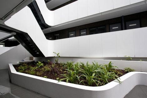 Photo of property in 409/428 Dominion Road, Mount Eden, Auckland, 1024