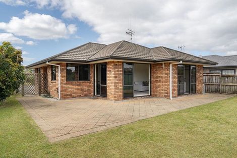 Photo of property in 79 Solomon Street, Brookfield, Tauranga, 3110