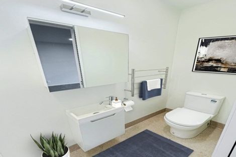 Photo of property in Aniva Terrace, 30 Ferguson Street, Newtown, Wellington, 6021