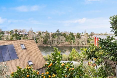 Photo of property in 31 Hillsborough Terrace, Hamilton Central, Hamilton, 3204