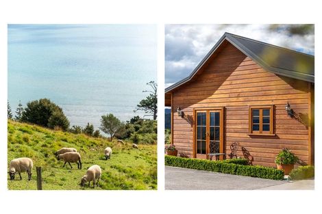 Photo of property in 25d Tapu Coroglen Road, Tapu, Thames, 3575