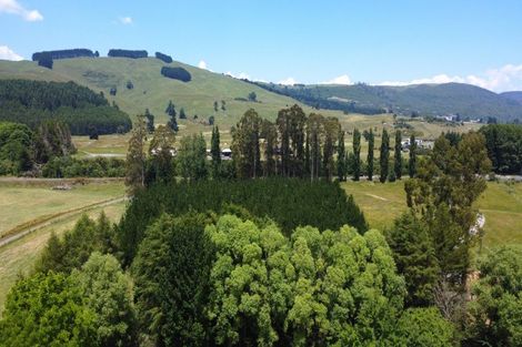 Photo of property in 728 Whangamata Road, Kinloch, Taupo, 3377