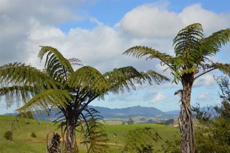 Photo of property in 489 Ruapekapeka Road, Towai, Hikurangi, 0182