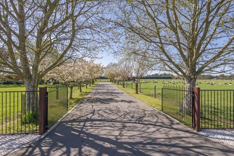 Photo of property in 75 Fords Road, Tinwald, Ashburton, 7773