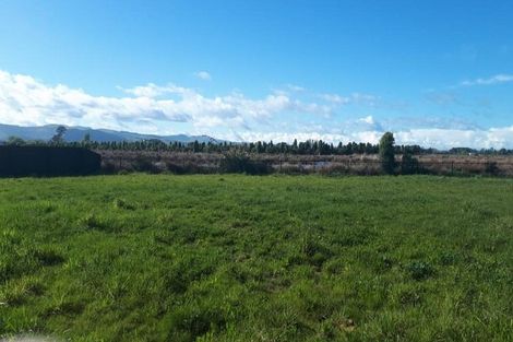 Photo of property in 29 Kaitorete Drive, Lincoln, 7608