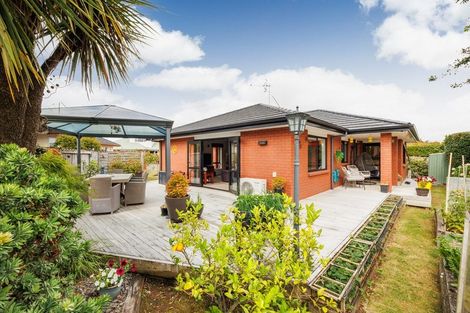 Photo of property in 3 Morgan Mews, Feilding, 4702