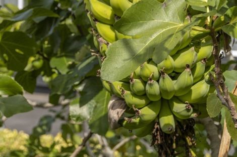 Photo of property in 12 First Avenue, Avenues, Whangarei, 0110