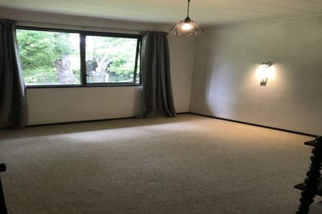 Photo of property in 14 Corwen Place, Mayfair, Hastings, 4122