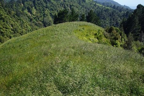 Photo of property in 13c Orokawa Heights Road, Waihi, 3681