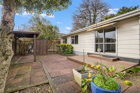 Photo of property in 38b Morrinsville Road, Hillcrest, Hamilton, 3216