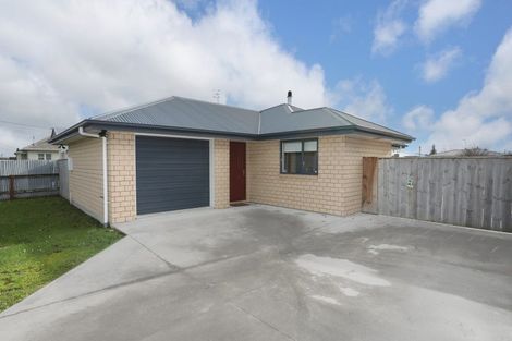Photo of property in 46 Monmouth Street, Feilding, 4702
