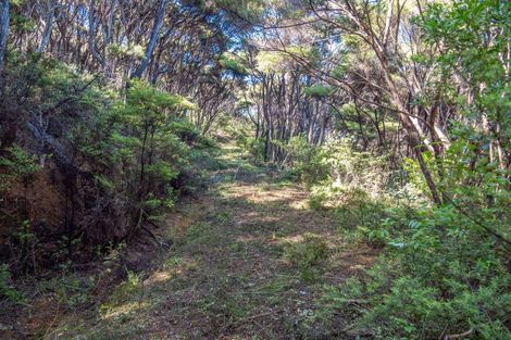 Photo of property in 458f Hihi Road, Hihi, Mangonui, 0494