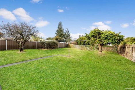 Photo of property in 58 Webster Avenue, Mount Roskill, Auckland, 1041