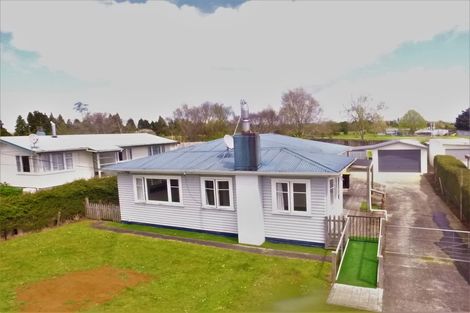 Photo of property in 65 Totara Street, Putaruru, 3411
