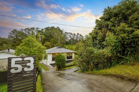 Photo of property in 53 Pine Avenue, Henderson, Auckland, 0612