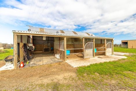 Photo of property in 670 Kaipaki Road, Ohaupo, 3881