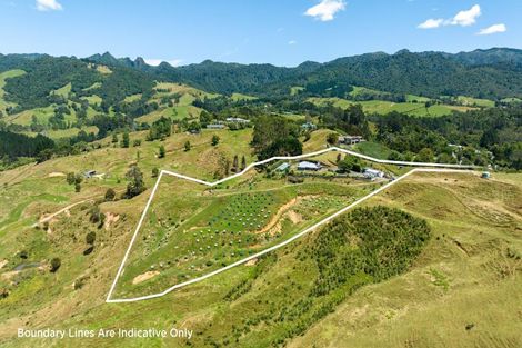 Photo of property in 265 Hot Springs Road, Tahawai, Katikati, 3178