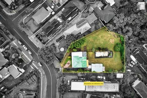 Photo of property in 33 Nikau Street, New Lynn, Auckland, 0600