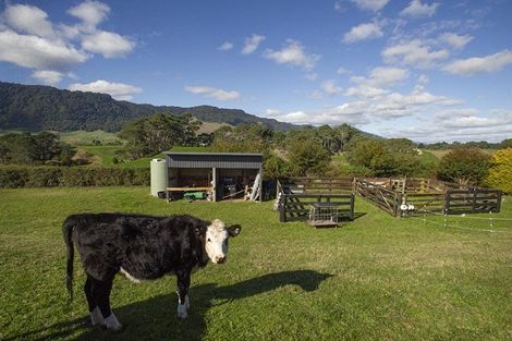 Photo of property in 1166 Old Te Aroha Road, Okauia, Matamata, 3471