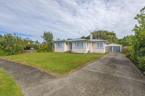 Photo of property in 8 Blenheim Place, Feilding, 4702