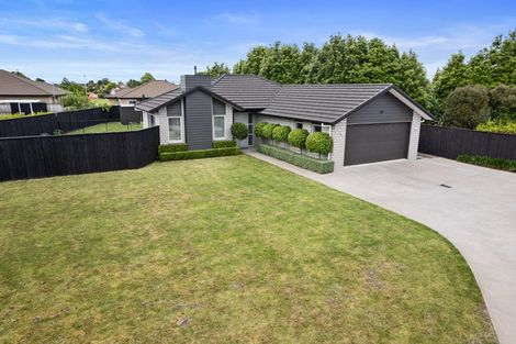 Photo of property in 12 Tralee Place, Morrinsville, 3300