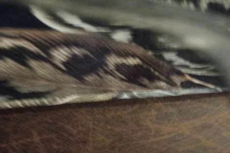 Photo of property in 120 Budge Street, Riversdale, Blenheim, 7201