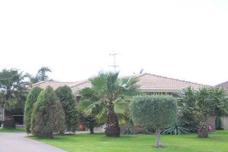 Photo of property in 251 Gloucester Road, Mount Maunganui, 3116