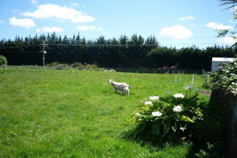 Photo of property in 573 Pukepapa Road, Marton, 4789