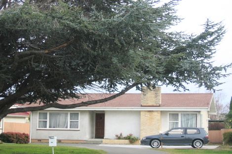 Photo of property in 57-59 Guppy Road, Greenmeadows, Napier, 4112