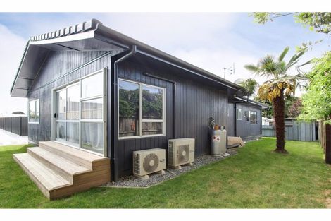 Photo of property in 404a Burnett Street, Mahora, Hastings, 4120