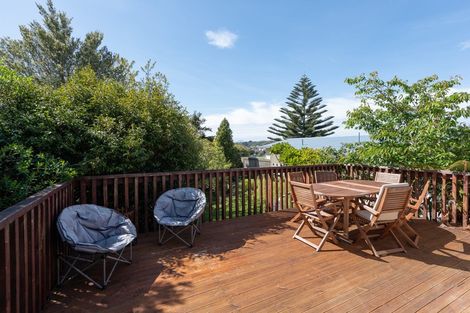 Photo of property in 45 Prospect Terrace, Johnsonville, Wellington, 6037