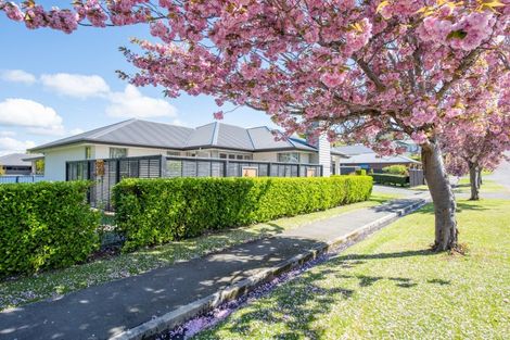 Photo of property in 2 Wolsley Street, Gore, 9710