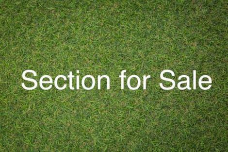 Photo of property in 42 Lisle Farm Drive, Pukekohe, 2120