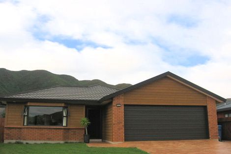 Photo of property in 45 Mandel Mews, Waiwhetu, Lower Hutt, 5010