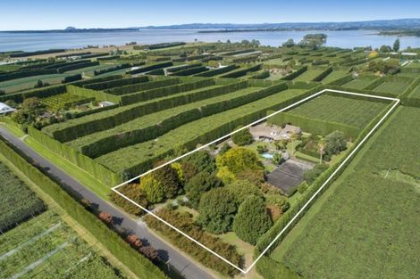 Photo of property in 76 Pukakura Road, Katikati, 3178