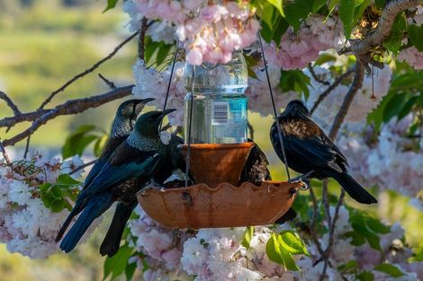 Photo of property in 82 Brooks View Heights, Tasman, Upper Moutere, 7173