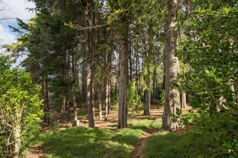 Photo of property in 6 The Meadows, Katikati, 3129