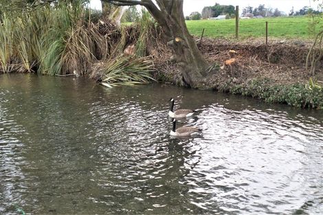 Photo of property in 24 Evans Street, Temuka, 7920