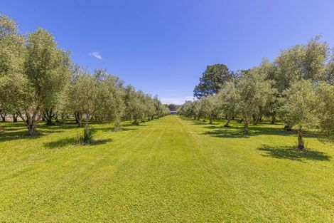 Photo of property in 274 High Street North, Carterton, 5713