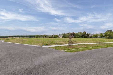 Photo of property in 76 Queens Avenue, Waikuku Beach, 7402