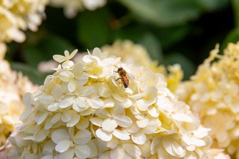 Photo of property in 20 Whatman Avenue, Masterton, 5810