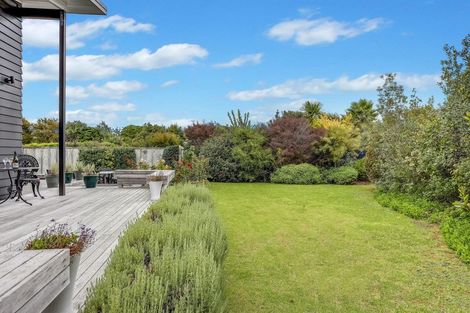 Photo of property in 36 Jack Boyd Drive, Mangawhai Heads, Kaiwaka, 0573