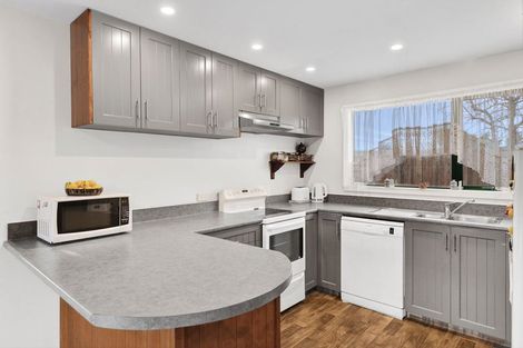 Photo of property in 47 Frye Crescent, Albert Town, Wanaka, 9305